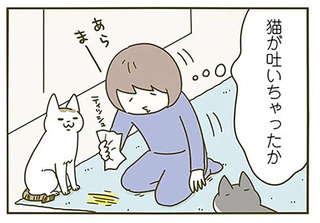 猫の飼い主が見つけた「カーペットの異変」。よかった...のか？／うちの猫がまた変なことしてる。3