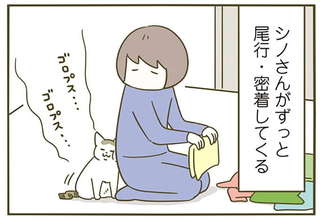 んーん...猫が「しばらく不在だった飼い主」と再会した時。なんとかわいい...！／うちの猫がまた変なことしてる。5