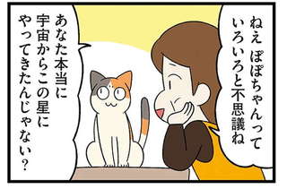 『うちう猫と柴犬』