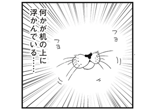 一度だけあった「不思議な体験」。部屋に浮かんでいたのは猫の...!?／動物たちが残した25個の不思議なメッセージ