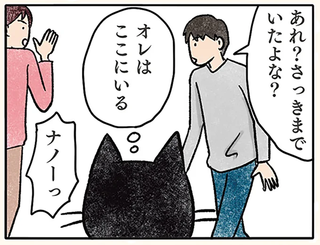 後輩猫は逃げ先輩猫は...病院用バッグの不思議／黒猫ナノとキジシロ猫きなこ