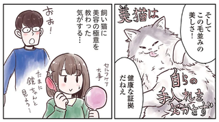 大切なのは「体の健康」と「心の幸せ」。両立すれば猫は健康で美しい／猫と幸せに暮らすための教科書