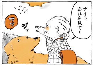 「あれを見て」鳥を指さすおばあちゃん。愛犬の反応は...／姫ばあちゃんとナイト