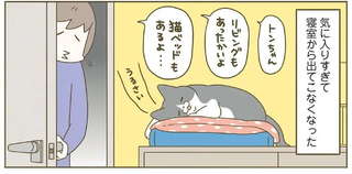 飼い主は寂しい!? あったか猫ベッドを作ったら気に入ってくれて...／うちの猫がまた変なことしてる。8