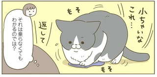 うちの猫は、床に何か置いてあると「とりあえず乗る」。でもそれは...⁉／うちの猫がまた変なことしてる。7