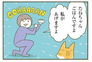 「食べましょうか...？」 食が細い愛猫のえさを狙うぽっちゃり同居猫2匹／うちの猫がまた変なことしてる。7