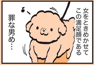 「罪な男め...」愛犬は女性をときめかせて満足顔。おばあちゃんもこんな表情に...／うちのトイプーがアイドルすぎる。