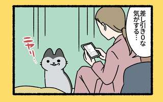 猫が家に来てから仕事が順調。でもたまには悪いことも起こり...／ねこもんすたー ニャーオ!