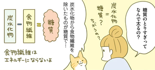 なぜ太ってしまうのか？ 痩せるために知っておきたい糖質のはたらき／ネコちゃんのゆるゆるダイエット塾