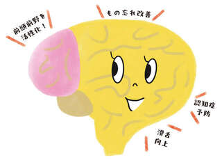 脳が活性化する意外なトレーニング！ 脳トレ博士・川島隆太先生おすすめの「早口ことば」