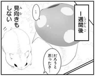 絶対に可愛い！ワクワクしながらペットに買ったきのこ型ハウスの「悲しい末路」／はむはむづくし2