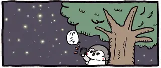 星空を「ずっと見ていたいね」とママ。そこで息子ぺんぎんは...／ちゃんぺんとママぺんの平凡だけど幸せな日々 2