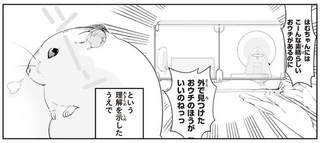 なんてかしこいの！ハムスターの別荘の完成度に親バカが止まらない／はむはむづくし2