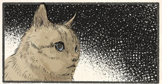 「なぜ...!?」困惑する猫。あくびをした時の、飼い主の「奇妙な行動」／今日もネコ様の圧が強い