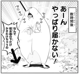 ハムスターに水を飲ませたい！ 飼い主の創意工夫の結末は...あれ？／はむはむづくし1