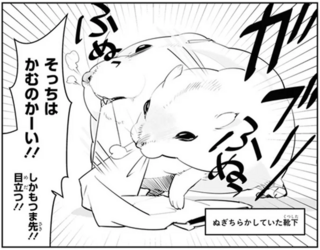 「ハムスターがもこもこセーターを必死に噛む動画」を見た飼い主。やってみたら...そっちじゃなーい！／はむはむづくし