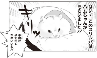 ガリっとした後にスッ。足元で起きたハムスターのスリッパ強奪事件／はむはむづくし2