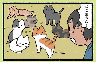 『浦島太郎とねこ』「うわあ～夢みたい」浦島太郎がねこに連れられて行ったところ／ねこむかしばなし