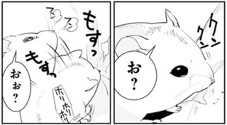 ぎゃああ...！ 飼い主の胸に抱かれたハムスターが狙っていた「もの」は／はむはむづくし