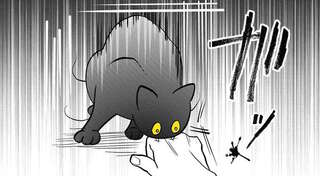 うちの猫の趣味は「人を驚かすこと」。驚かなかったら...あああ／筆坊日記