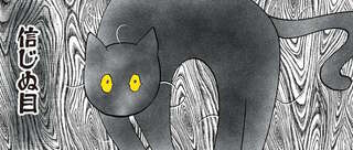 のびをした飼い主に猫が「やんのか？」ポーズで応戦。その気はないよと伝えても...／筆坊日記