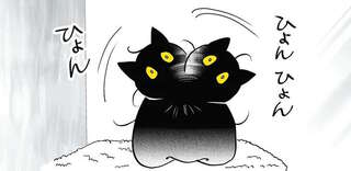 猫が民芸品のように首をカックンカックン...。飼い主の不安は...それ？／筆坊日記