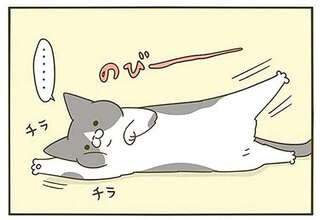 猫は「無言でもうるさい」。のびー、ぎゅりんっ...チラッ／うちの猫がまた変なことしてる。3