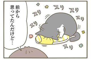 猫が嬉しそうスリスリ。なぜ「本体」には甘えてくれないのか／うちの猫がまた変なことしてる。3