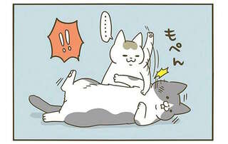 「もぺん」理不尽に叩かれた猫。人間みたいに「こんな表情」に／うちの猫がまた変なことしてる。3