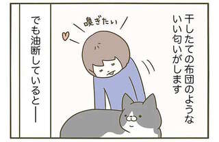 うちの猫の「干したての布団のような匂い」。でも油断したら...／うちの猫がまた変なことしてる。3