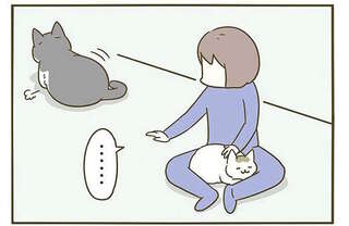 猫って何故こう...。 撫でていると離れていき「こんな顔」で振り返る／うちの猫がまた変なことしてる。3