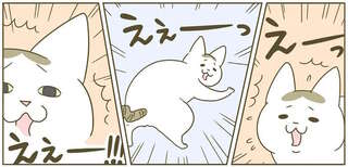 わざとらしい猫。「いま初めて知りました」みたいな顔をするけど...！／うちの猫がまた変なことしてる。4