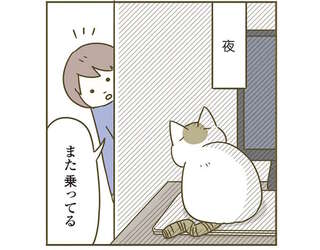 ノートPCの上でぬくぬくする猫。電源オフしても乗り続ける「理由」は...／うちの猫がまた変なことしてる。4