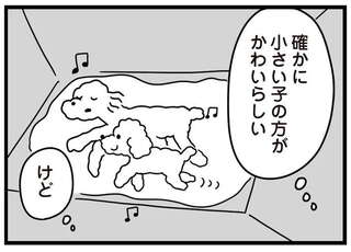 トイプードルをお迎えすることに。不登校少女が選んだのは「自分に似てる」規格外の子／おはよう、サンテ