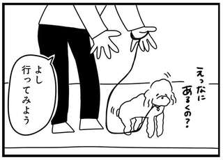 「いやお前...」臆病な犬が初の散歩でよその犬に遭遇。反応は...えええ／おはよう、サンテ