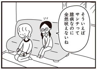 うちの子犬は「吠えない」けど「うるさい」。母のしつけは成功...なのかな？／おはよう、サンテ