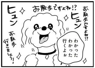 「お散歩ですよね!?」ウキウキの愛犬。でもドアを開けたら雨で...おい！／おはよう、サンテ