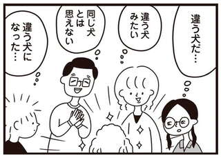 トイプーには重要なトリミング。ブラッシング嫌いな愛犬を放置していたら／おはよう、サンテ