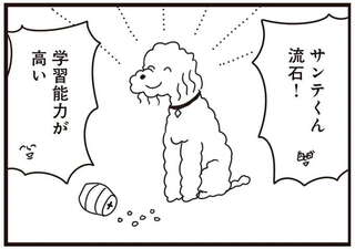 犬用の知育玩具もすぐクリア。お利巧な愛犬に思わず声が出た！／おはよう、サンテ