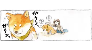 「おっ、マッサージだな」ポジティブ思考の柴犬の頭を、後ろからズボズボしたら...／柴犬ぽんちゃん