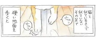 柴犬の「肉球パーカッション」...心地よいリズムで廊下を歩く愛犬の位置がわかる？／柴犬ぽんちゃん