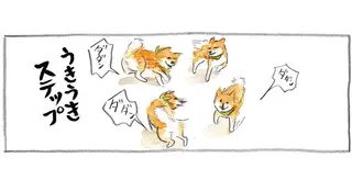 「さんぽ」と聞いた柴犬。うきうきステップを踏み出すが、出発前に...え？／柴犬ぽんちゃん