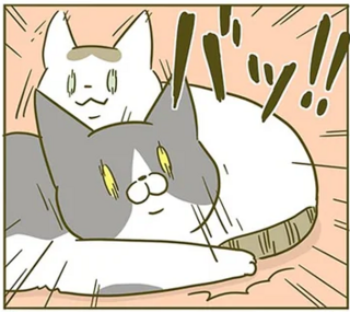 「ほんとに怖いからやめて」猫飼いが体験した「怖い話」／うちの猫がまた変なことしてる。2