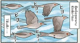 嫌われがちなんだけど...苦労の多いことを知ると応援したくなる鳥／意外と知らない鳥の生活