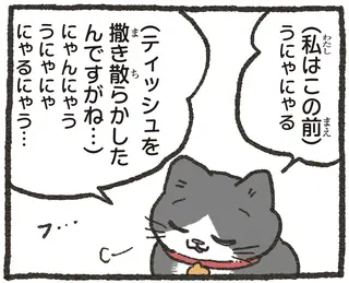 イタズラ談義でねこ友にドヤ顔するはずが...一枚も二枚の上手の相手に驚愕⁉／ねこに転生したおじさん5