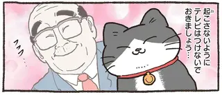 ねこ友が起きないように...そーっとフードを食べてみたら／ねこに転生したおじさん5