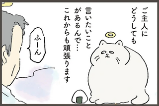 天国にいる猫が、飼い主の夢枕に立って「どうしても伝えたかったこと」／天国での暮らしはどうですか
