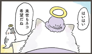 来世はネコ希望の人間。徳を積んでいたからもらえたチャームポイントは...これ？／天国での暮らしはどうですか