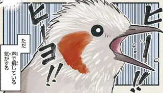 「これで損してる気がする」見た目はかわいい！ なのにこの鳥は...／意外と知らない鳥の生活