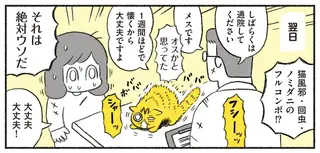 声が枯れるくらい鳴き続けていた子猫。保護して「私が必ず幸せにしてみせる」を決めるが...／茶トラのやっちゃん